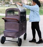 Wonderfold Wagon W2 Luxe Two Seat Double Stroller with Extra all weather cover  
