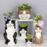 Shudehill Giftware Moggy Pots Vase Black & White or Ginger Cute Cat Plant Pot