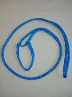 8" Collar Blue Cloth Half-check Show lead (Martingale) 8mm Wide Webbing