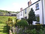 Holiday Cottage North Yorkshire nr Whitby-wildlife/walks/tour week beg June 27th