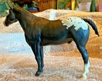 Breyer rare limited run Traditional black blnkt spot Appaloosa Performance Horse