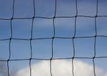 Garden Net 38mm 1 1/2” Poultry Pheasant Knotted Anti Bird Strong Game Netting