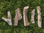 Ceramic logs 5 pcs HAND MADE designed for bio ethanol, gas, gel fireplaces - IX
