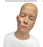 Adam Rouilly Ear Diagnostic Examination Trainer Model Head – Bargain