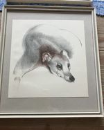 Greyhound Stylish John Skeaping 1950s Print Mounted Framed