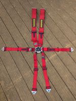 Schroth 6 Point Harness