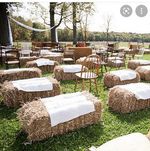 13 Bales Party Seating Wheat Straw Or Barley Straw Bedding Feed Quality