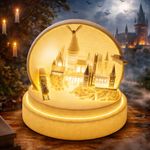 Harry Potter Light Globe