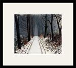 Wall Art Print Oil Painting Peter Brook The Woods Are Lovely Giclee Framed New