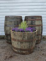 LARGE 50CM TALL OAK HALF BARREL TREE SHRUB BUSH FLOWER GARDEN PLANTER POT TUB
