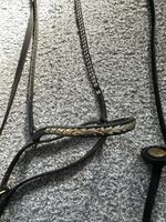 Arab Show Halter