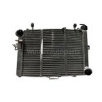 ✅61635010000 Aluminum Radiator Fit KTM 1290 Super Duke R 2017-2019 Radiador