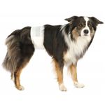 Trixie Male Diapers For Dogs 12pcs -Disposable Hygienic Nappies for Incontinence