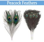 Natural Peacock Feathers Real Peacock Tail Feathers 25-80cm Feathers Decors