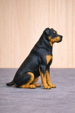 A96 – Regal Rottweiler | Scale Model Dog Figure Unpainted