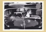 Dog Postcard 2001 (38834) 