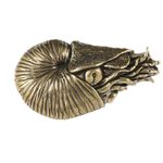Nautilus Sculpture Antique-Style Nautilus Ornament Brass-Toned for Office Desk