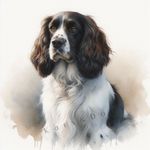 SPRINGER SPANIEL Watercolour ART PRINT DOG Lover GIFT Christmas Birthday Present