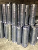 Welded Chicken Wire Mesh Aviary Roll - 30m Long - Hole size 1" x 1/2"