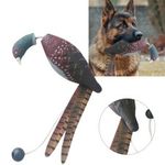 UK Dead Fowl Trainer Pheasant Dummy Decoy Dog Training Aid Gundog -