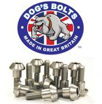 Yamaha XJR1300 / SP 03-13 Stainless Steel Front Brake Disc Bolt Kit