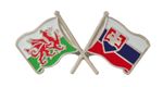 Slovakia Flag & Wales Flag Friendship Courtesy Pin Badge