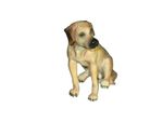 Rhodesian Ridgeback, 3" to 4", Hand Painted, Dog Figurine