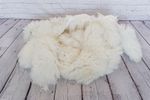 Sheepskin100% natural crafting soft wool offcuts scraps 1 kg white,grey,silver!