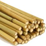 2ft-6ft-7ft Large Bamboo Canes Strong Thick Pole Garden Canes Plants Supports