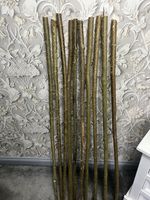 Hazel Walking Stick Shanks 14mts, 53in Top, 26ml-24ml 10 pack 