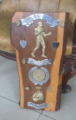 1984 Birmingham ABA Boxing Championship Trophy Midland vs Southern Counties 19”