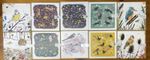 30 x Job Lot Greetings Card RSPB Otter House 10 Designs (3 of each) 16cm SQUARE