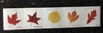 2025USA #5971-5975 Postcard Rate Vibrant Leaves - PNC Coil Strip of 5