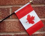 PACK OF 5 CANADA HAND WAVING FLAG Small 6" x 4" with black pole Canadian