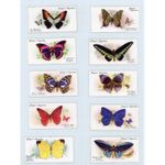 John Player Butterflies Cigarette Cards Full Set of 50 c1908-1910