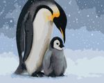 Stunning Penguin & Chick Paint by Numbers 50x40cm | DIY Acrylic Painting UK