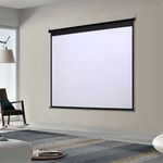 60-120inch Manual Projection Screen 4:3 16:9 Pull Down Home Cinema School Office