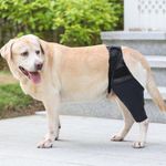 Dog Hip Dysplasia Brace Support Dog Brace Pain Relief Postoperative Arthritis