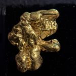 Big Horn Mine - California Gold “DINGALING” WET GOLD 23k+ 1.67g  Nug W Character