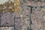 QV PENNY LILACS on ORIGINAL VICTORIAN PAPER ...Bundleware..Priced per 300 or 500