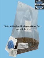 All In One Mushroom Grow Bag 2.0Kg  – Inject & Forget Mushroom grow kit