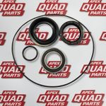 Honda TRX300 Big Red 300  4x4 1988-2000 Rear Drum Bearing & Oil Seal Rebuid Kit