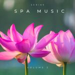 SERENITY SPA RELAXATION MUSIC CD v2  BEAUTY SALON SPA HOLISTIC THERAPIES MASSAGE