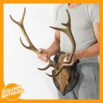 Large Red Deer Stag 10-Point Antlers Interior Decor Taxidermy Wall Mounted Plaqu