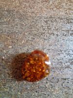 Beautiful Genuine Amber Bead