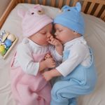 BABESIDE Reborn Baby Dolls Twins 17 inch Soft Vinyl Lifelike Real Life Baby Doll