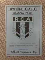 RYHOPE CAFC  v DURHAM CITY  NORTHERN LEAGUE  1983 - 84