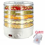 350W 5 Tray Electric Food Dehydrator Fruit Meat Beef Dryer Veg Preserver Machine