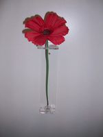 TOWER OF LONDON POPPY STAND POPPY DISPLAY WALL MOUNT CLEAR ACRYLIC 