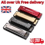New Silver Swan Harmonica 10 Hole Key of C for Blues Rock Jazz Folk Harmonica UK